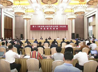 河北省代表团继续审议“两高”报告等 王东峰许勤等参加审议