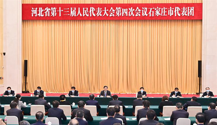 王东峰参加省十三届人大四次会议石家庄市代表团审议