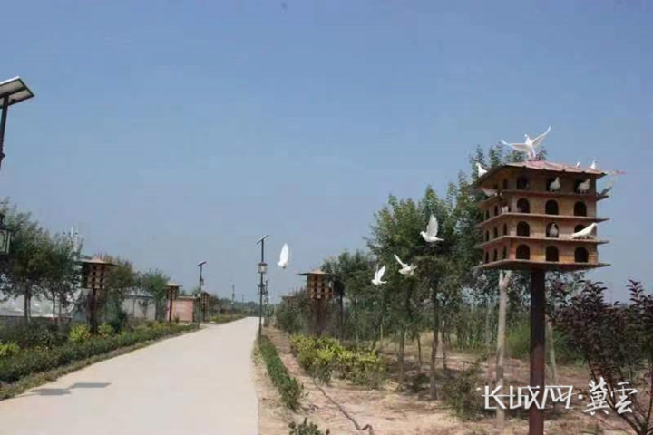 古早清凉文化生态园