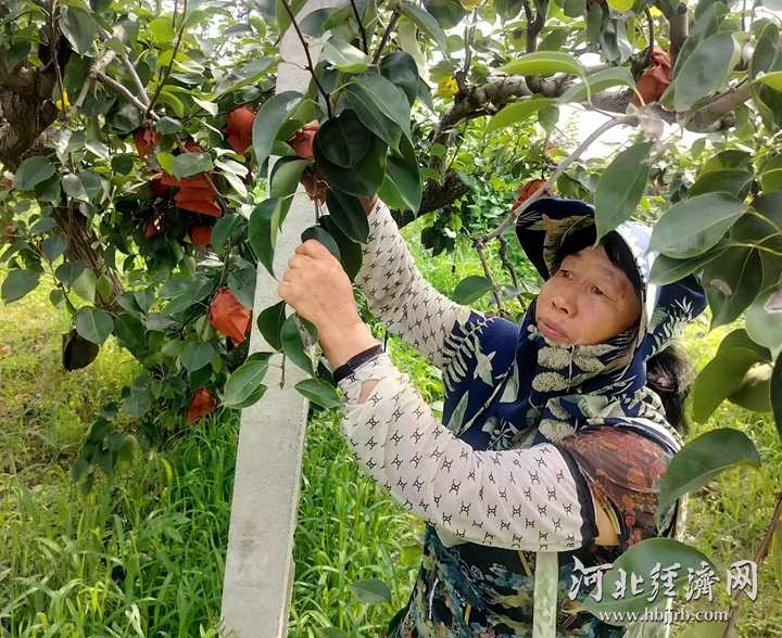 微信图片_20240808101754_副本