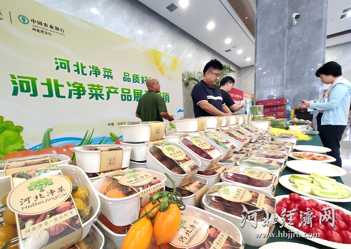 微信图片_20240808203437_副本