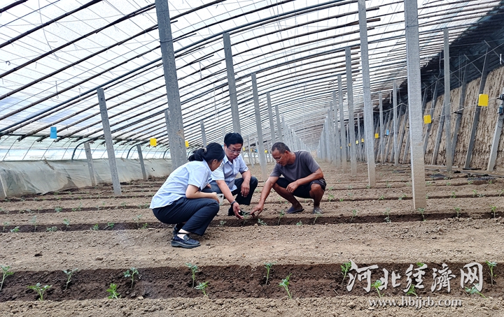 微信图片_20240808202117_副本_副本