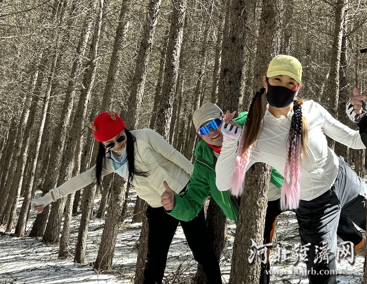 群活动9_副本