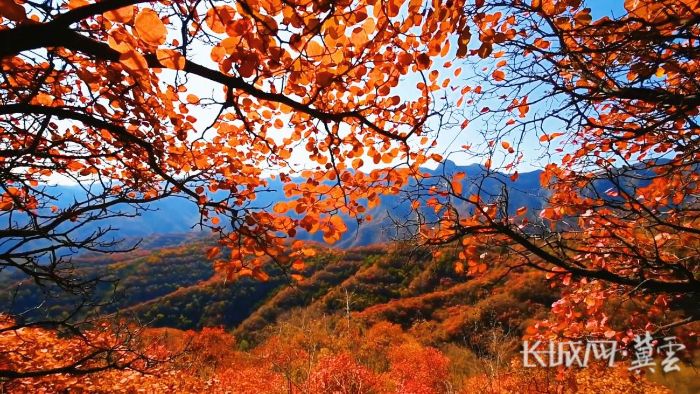 天桂山1(1) 天桂山1(1)