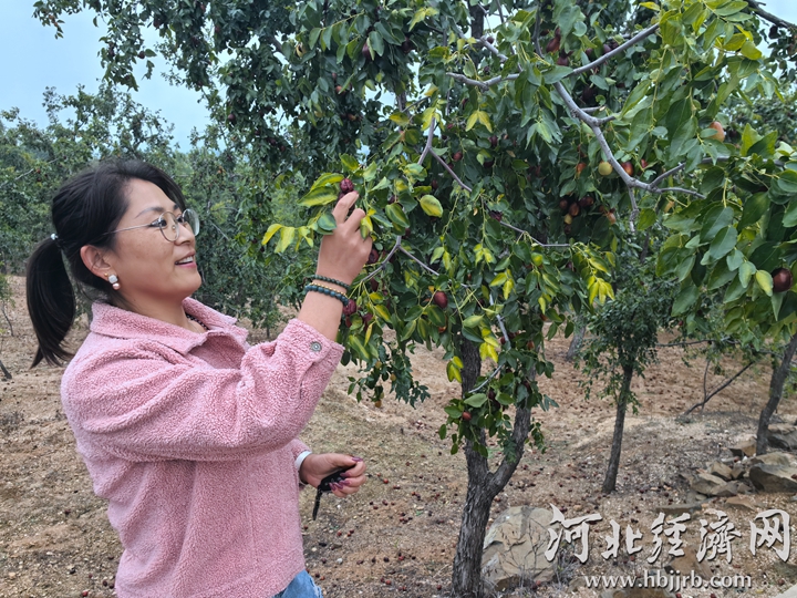 微信图片_20241027234430_副本
