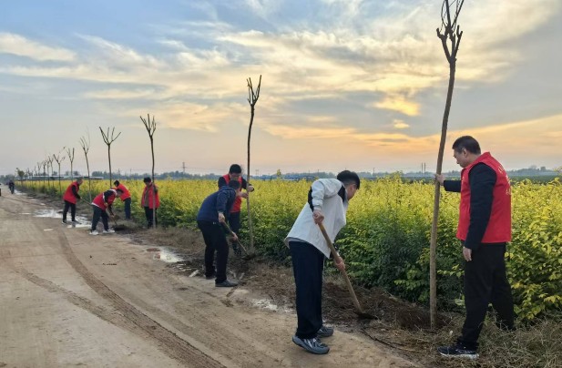 秋冬绿化正当时 绘就生态新画卷