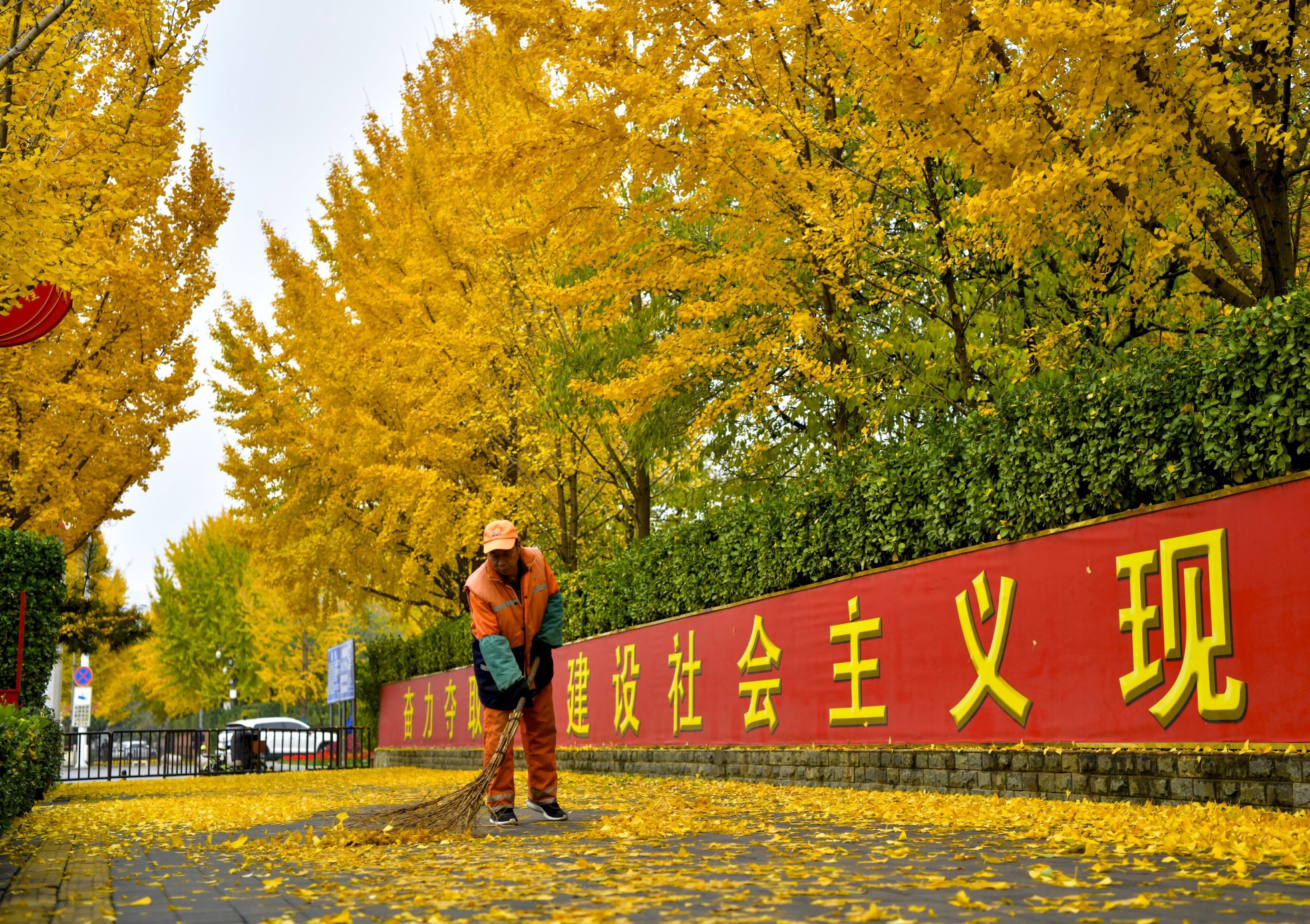 环卫工人清扫落叶 保障城市环境整洁