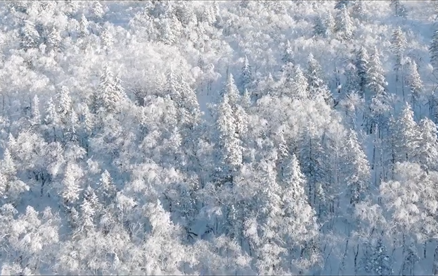 亚冬会｜冰雪同梦