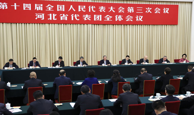 李强参加十四届全国人大三次会议河北代表团审议
