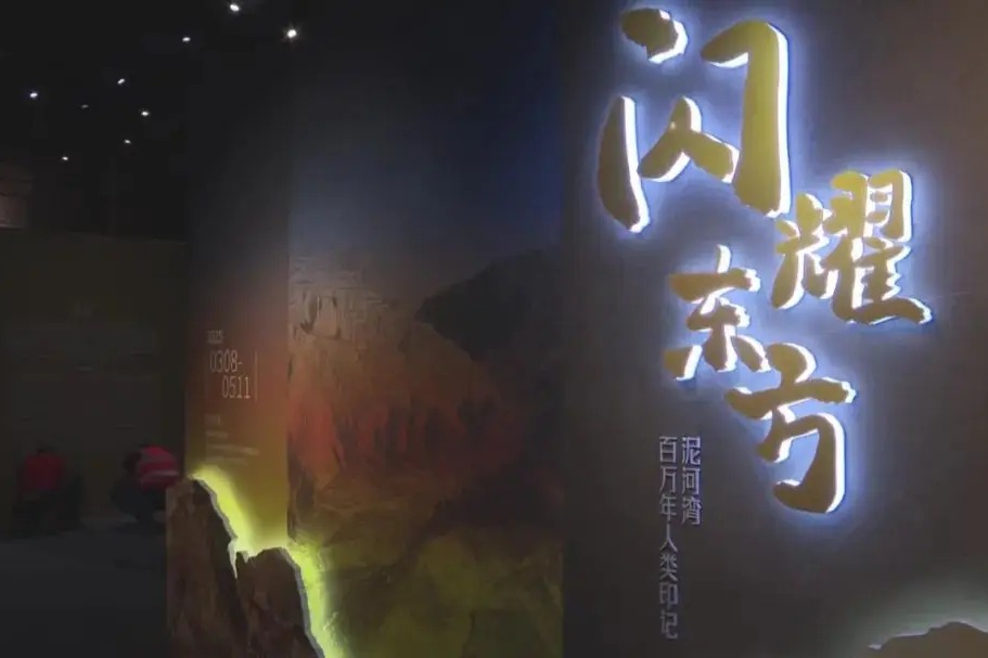“閃耀東方——泥河灣百萬年人類印記”展覽在國家自然博物館啟幕