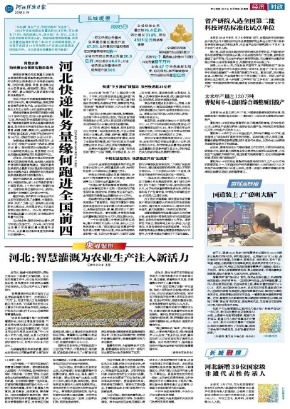 河北经济日报20250319