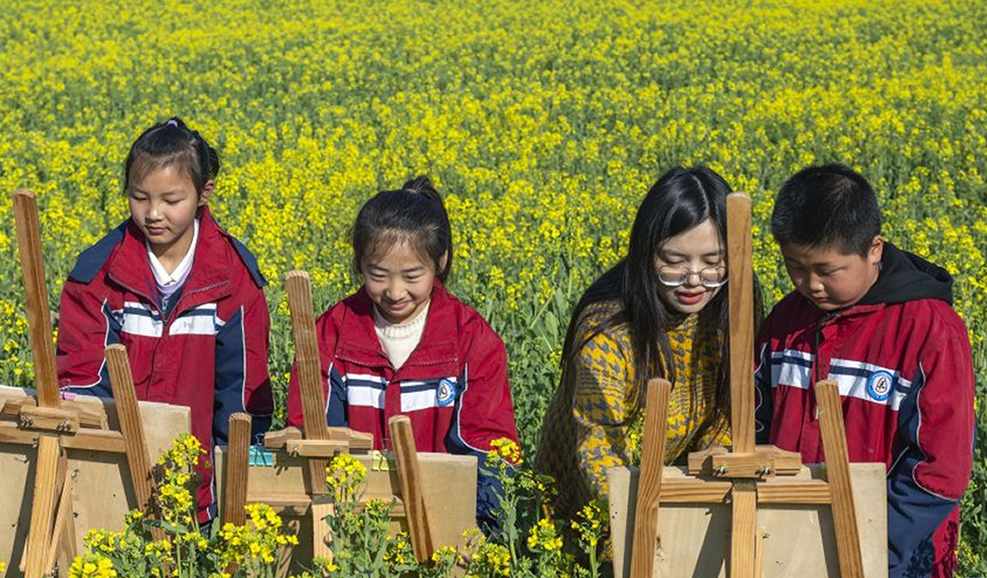 春暖赏花正当时