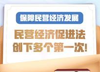 保障民营经济发展，民营经济促进法创下多个第一次！