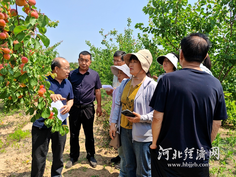 314f13a25597727d9889adf184a1b32c