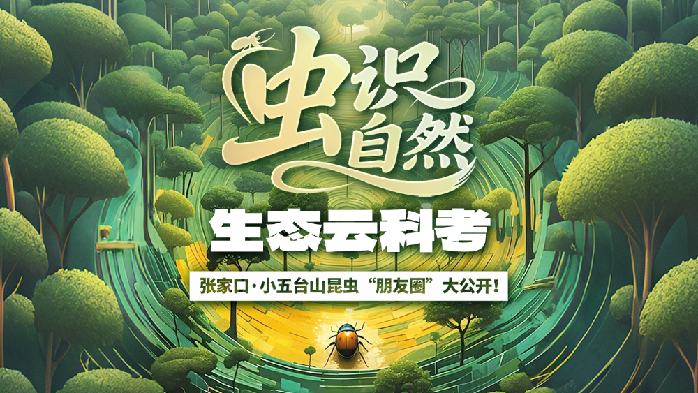 长城直播 | “虫”识自然·生态云科考——小五台山昆虫“朋友圈”大公开！