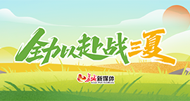 【专题】全力以赴战三夏