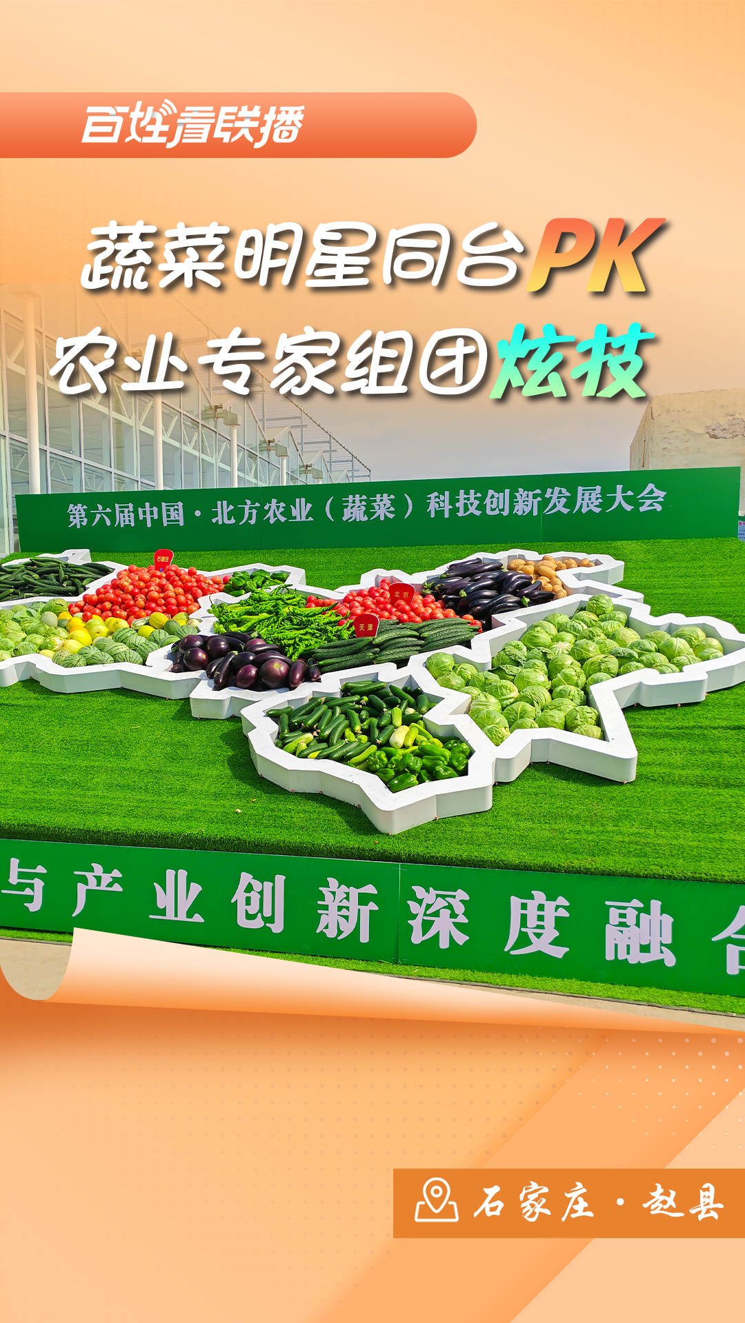 百姓看联播 | 蔬菜明星同台PK 农业专家组团炫技