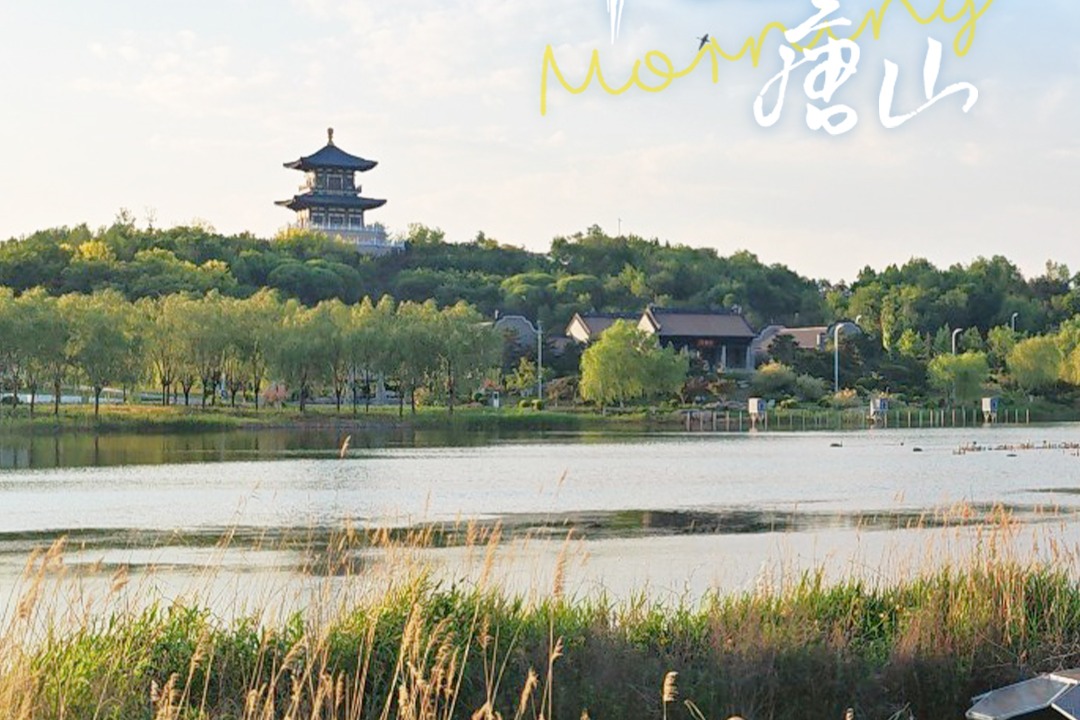 美丽唐山 丨2025年7月13日（唐山花海景区）