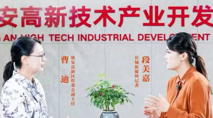 长城专访｜曹迪：雄安高新区日均2家企业注册背后的发展密码
