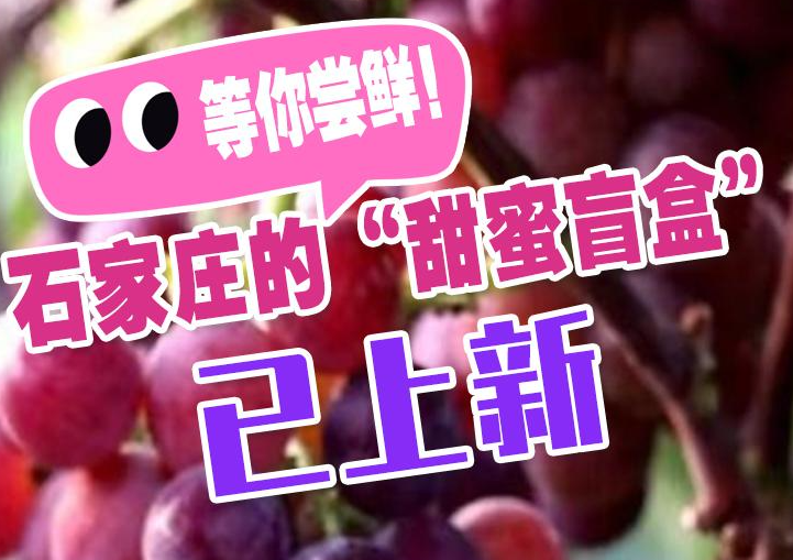 等你尝鲜！石家庄的“甜蜜盲盒”已上新