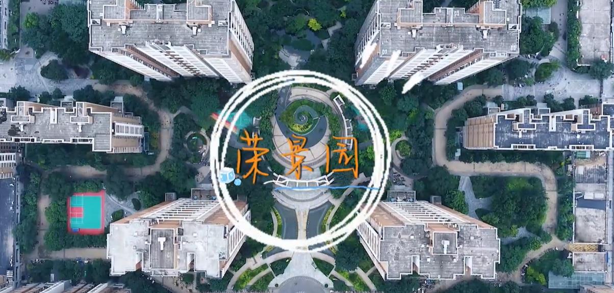 走街串巷·石家庄③丨​生活小事“圈”搞定