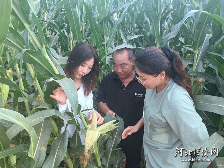 河北省玉米产业技术体系邢台试验站站长李艳(左)在邢台市南和区王庄村现场指导农户玉米管理事项。河北经济日报记者 贾宏博 摄_副本