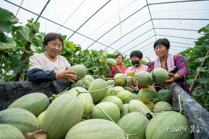 邯郸肥乡：果香四溢迎客来