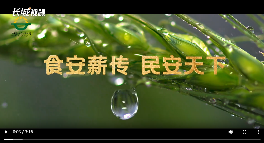 2025年河北省食品安全宣传周宣传片《食安薪传 民安天下》发布