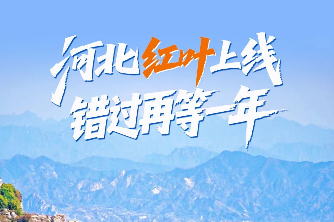 河北红叶上线，错过再等一年