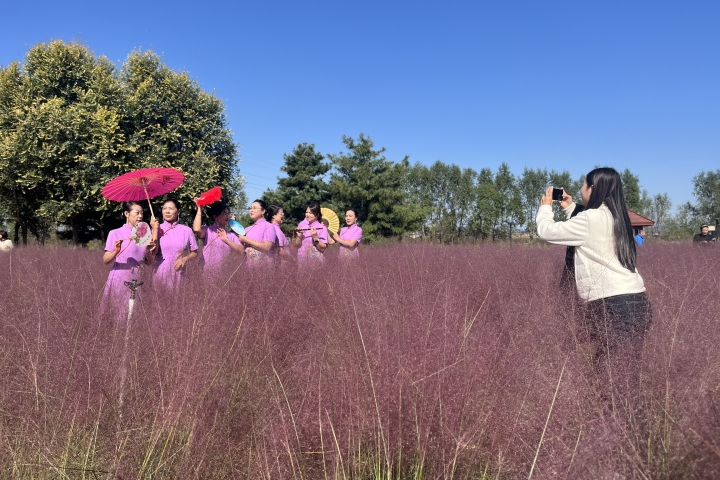 秦皇岛市抚宁区第二届枫林市集盛大启幕
