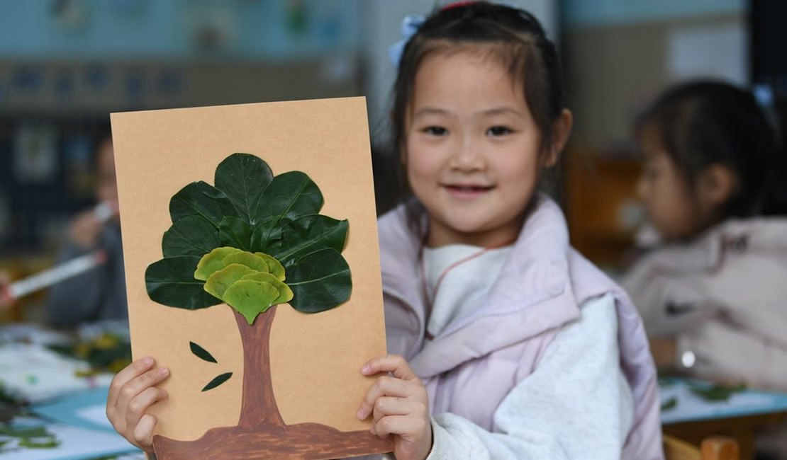 创意树叶画 感受自然美
