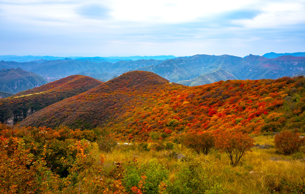 红叶满山秋意浓