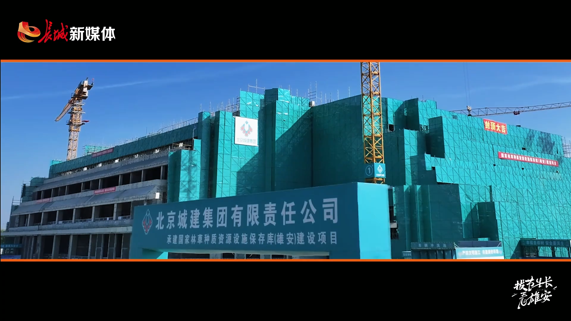 拔节生长看雄安 | 雄安这座“种质库”很硬核