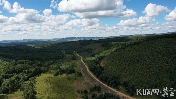 四中全会精神在基层丨一笔点“碳”成“金”的生态账