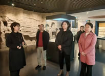 省人大民侨外委调研组赴邯郸市开展综合调研