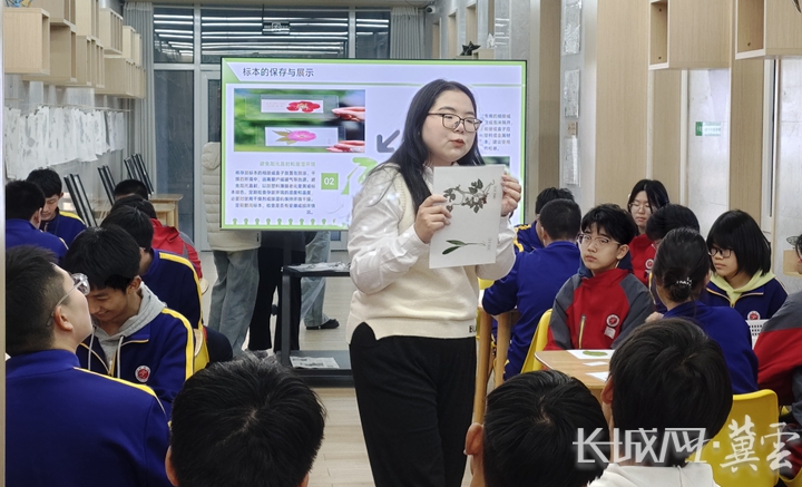 标本知识讲解_副本