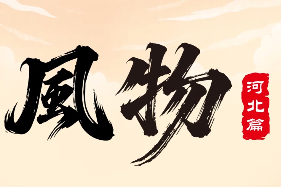 风物河北丨河北菌菇 山野至珍