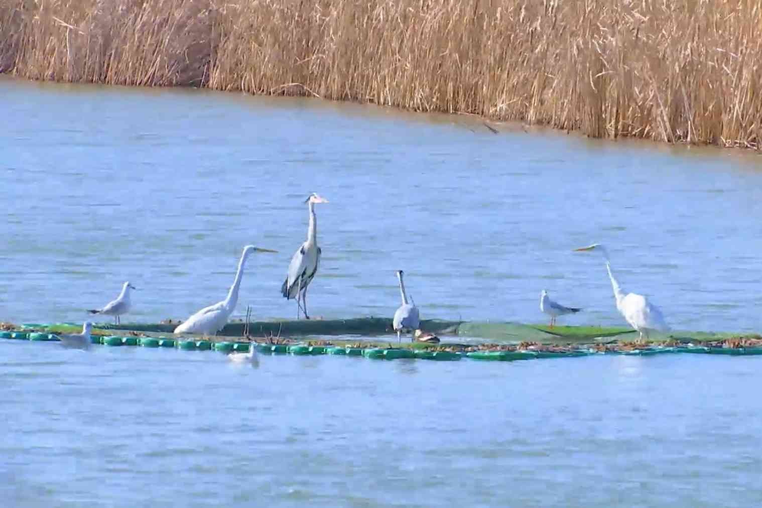 衡水湖景区：倡导文明旅游 共建和谐美丽景区
