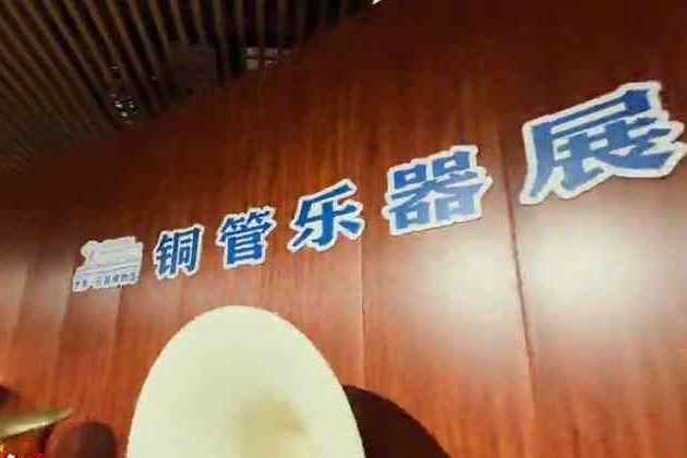 衡水新地标微视频：武强世界乐器博物馆