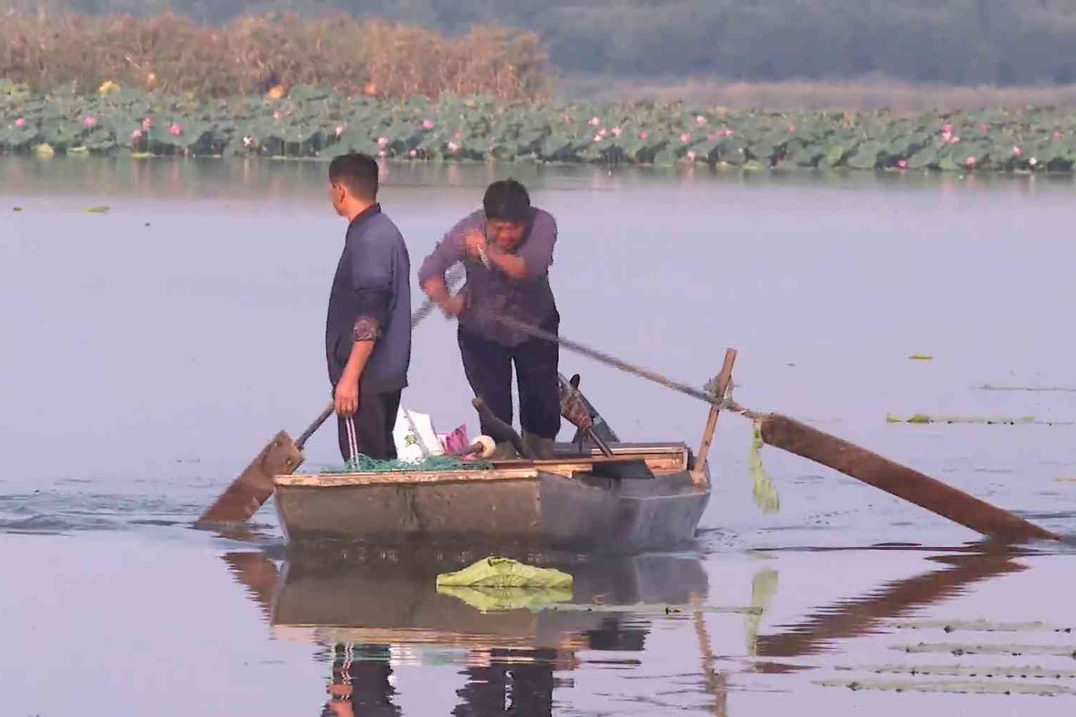 衡水湖首度发布捕捞季渔获情况专项调查报告