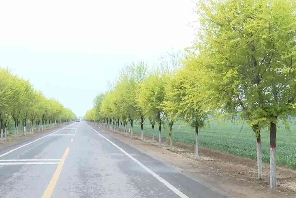 “十四五”期间 衡水建成“四好农村路”2162.8公里