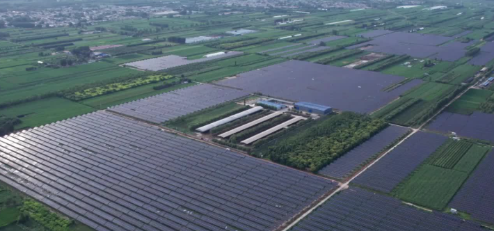 工行阜城支行协助新能源项目顺利并网