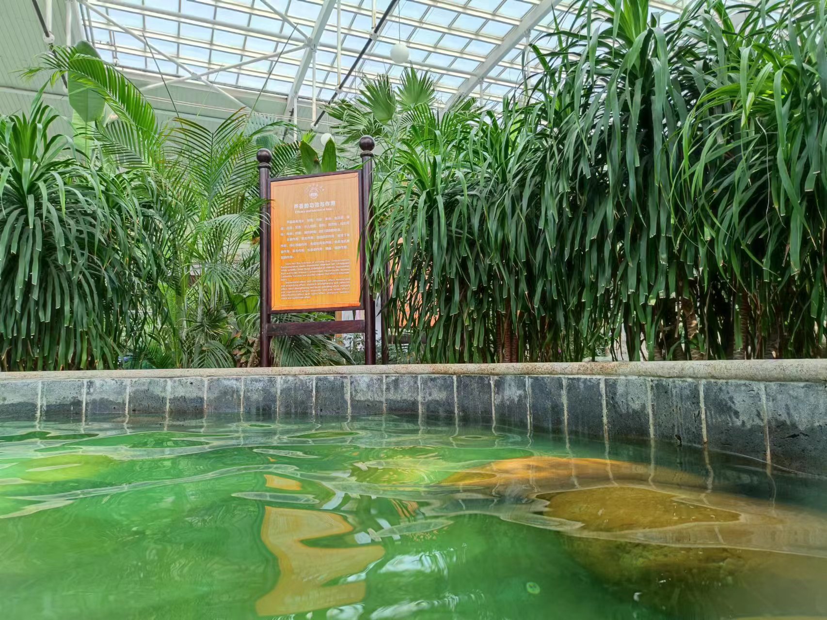 戏雪泡汤品年味 冬日玩法样样有 漫游石家庄周边邂逅多元乐趣