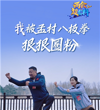 两会超有料丨我被孟村八极拳狠狠圈粉