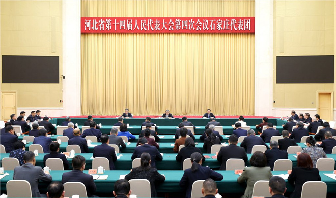 倪岳峰参加石家庄代表团审议