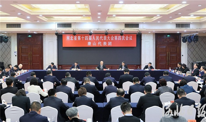 王正谱参加唐山代表团审议