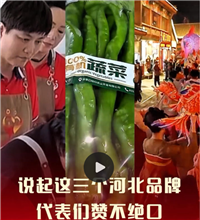 说起这三个河北品牌，代表们赞不绝口