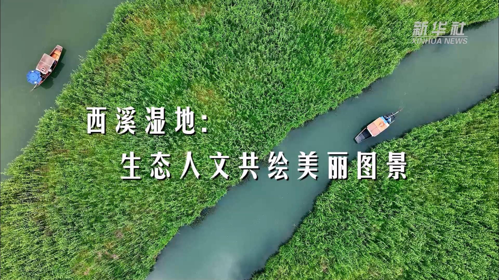 西溪湿地：生态人文共绘美丽图景