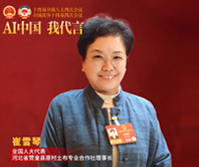 崔雪琴：以非遗之梭织就乡村振兴锦绣图