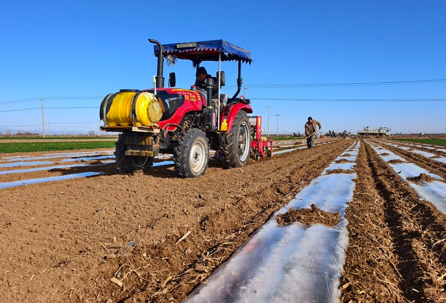 春分将至农事忙